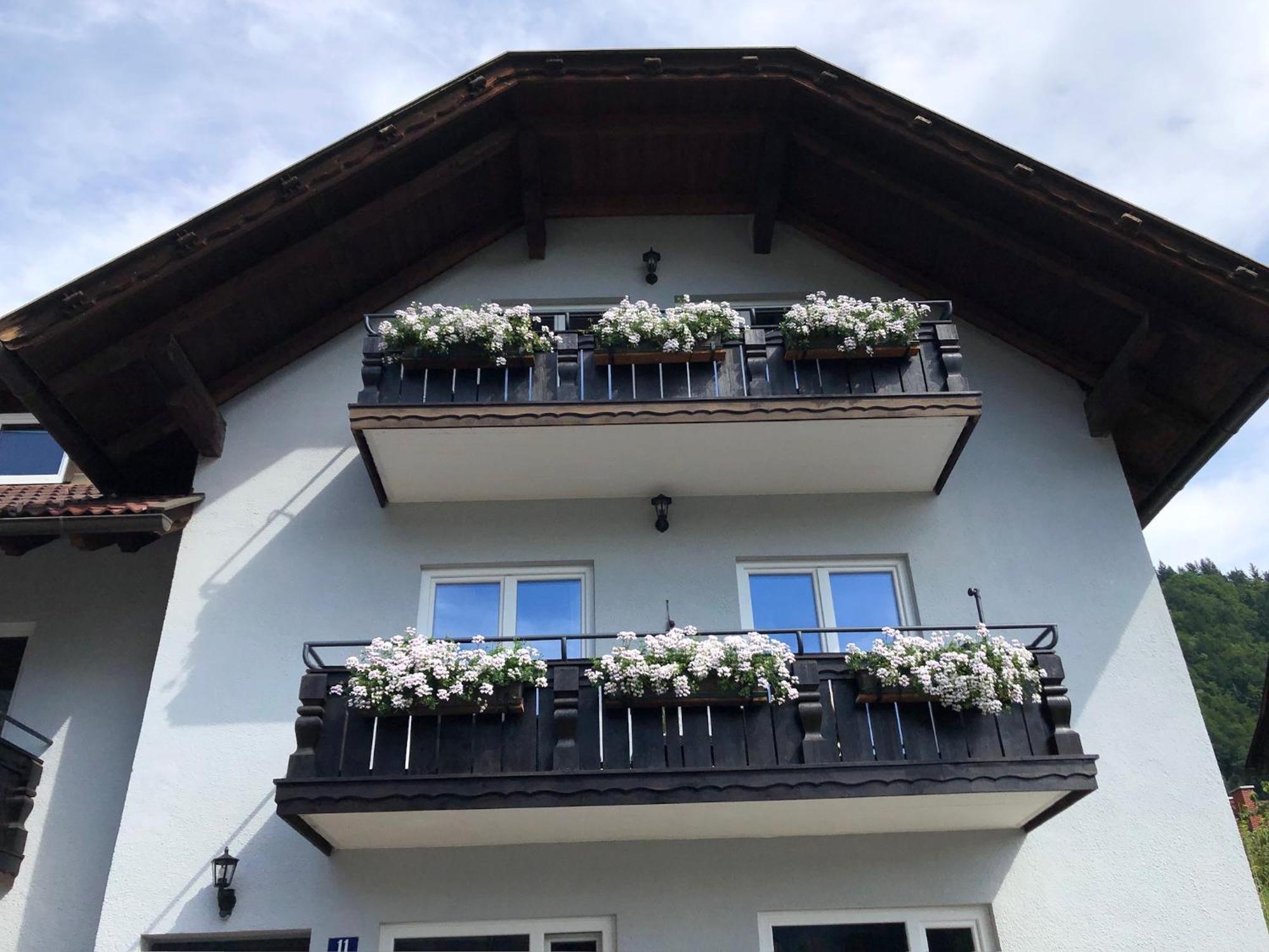 Appartement Sonnenstrahl Ferienhaus Fuenf Sinne Döbriach Eksteriør billede